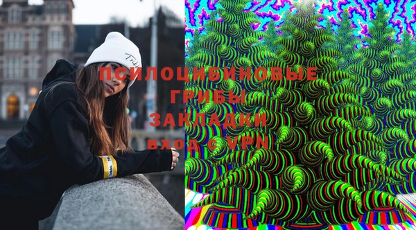 бутират Инта